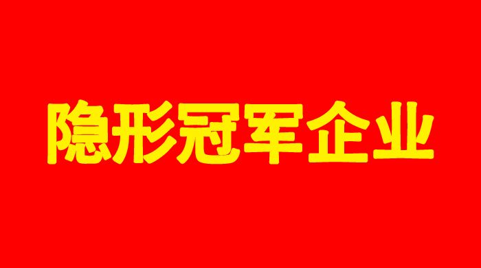武汉九游聚氨酯科技有限公司荣获“咸宁市支柱产业细分领域隐形冠军企业称号”