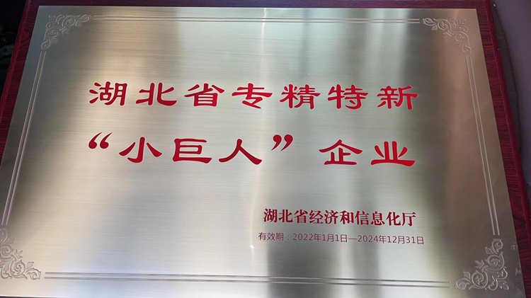 九游荣获国家级专精特新“小巨人”企业称号