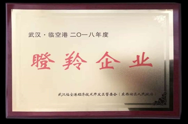 九游荣获2018临空港经开区瞪羚企业 九游荣获2018临空港经开区瞪羚企业
