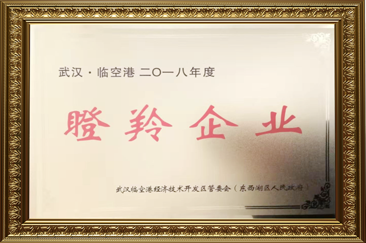 九游 瞪羚企业 九游 瞪羚企业