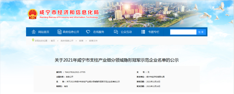 咸宁市经济和信息化局官网 咸宁市经济和信息化局官网