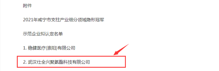 2021年咸宁市支柱产业细分领域隐形冠军企业 2021年咸宁市支柱产业细分领域隐形冠军企业