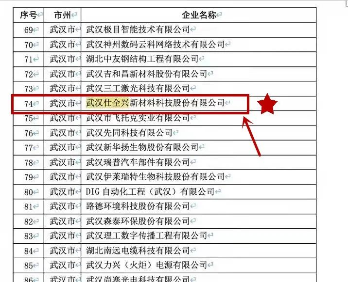 武汉九游入选湖北省专精特新小巨人企业 武汉九游入选湖北省专精特新小巨人企业
