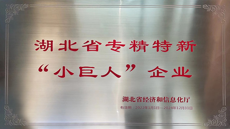 湖北省专精特新小巨人.jpg 湖北省专精特新小巨人.jpg